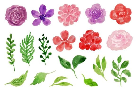 Download Beautiful Summer Flower Watercolor - Summer flower watercolor Collection