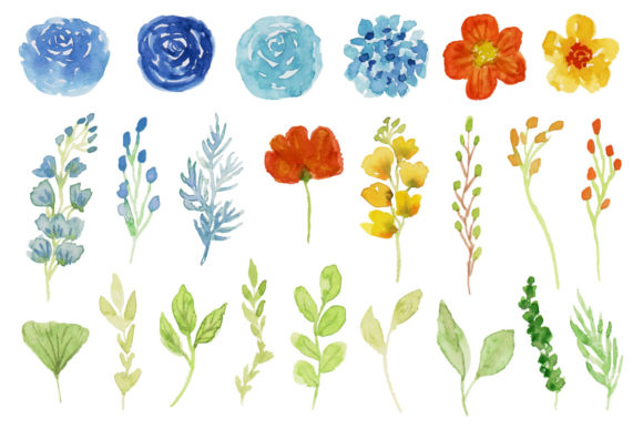 Download Spring and Summer Flower Watercolor - Summer flower watercolor Collection